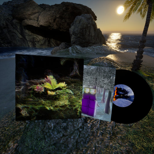 "Blossom Echoes" 12" Vinyl